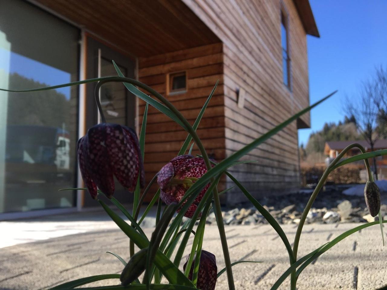 Gaestewohnung Zum Atelier Immenstadt im Allgäu Exterior foto